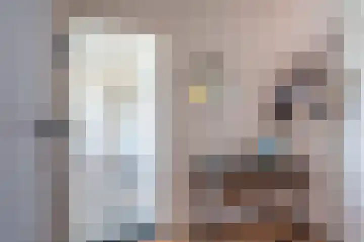 Florakade 182 Groningen thumbnail 18