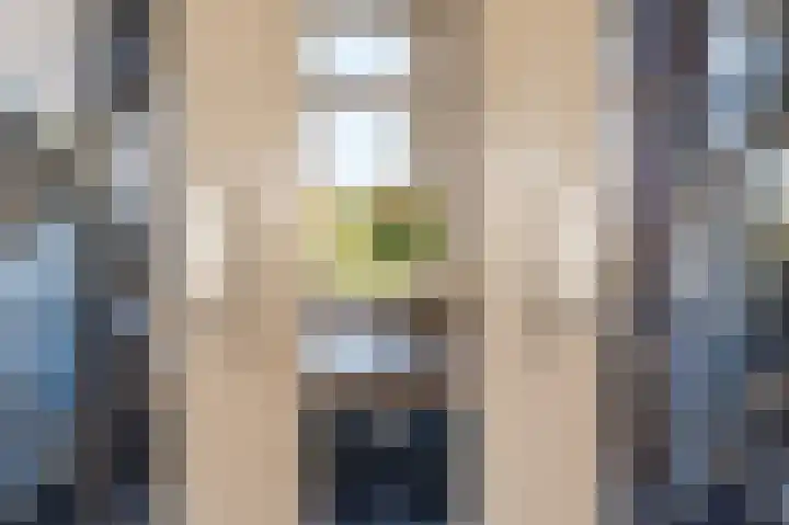 Florakade 182 Groningen thumbnail 28
