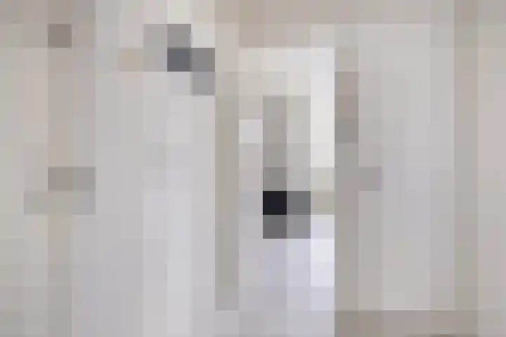 Florakade 208 Groningen thumbnail 14