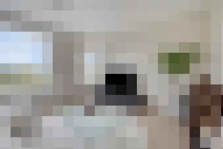 Florakade 208 Groningen thumbnail 16