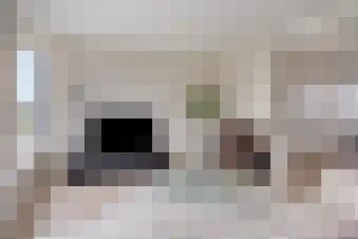 Florakade 208 Groningen thumbnail 17