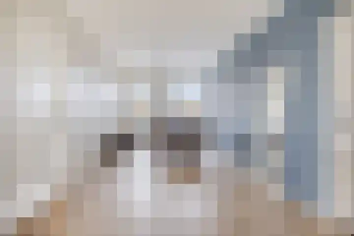 Florakade 208 Groningen thumbnail 19
