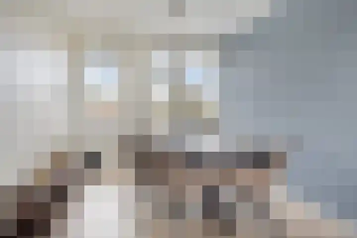 Florakade 208 Groningen thumbnail 20