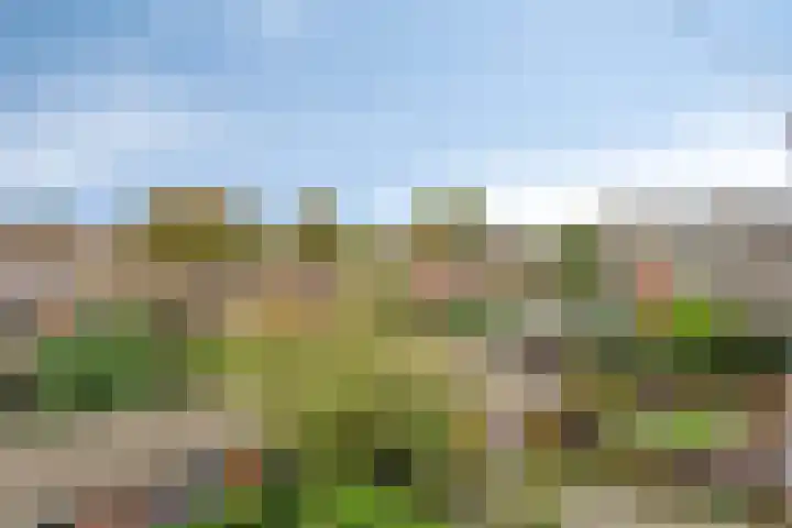 Florakade 208 Groningen thumbnail 25
