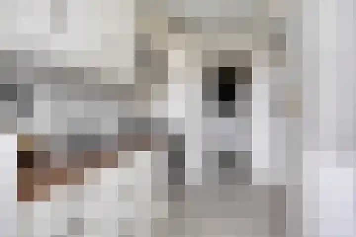 Florakade 208 Groningen thumbnail 26