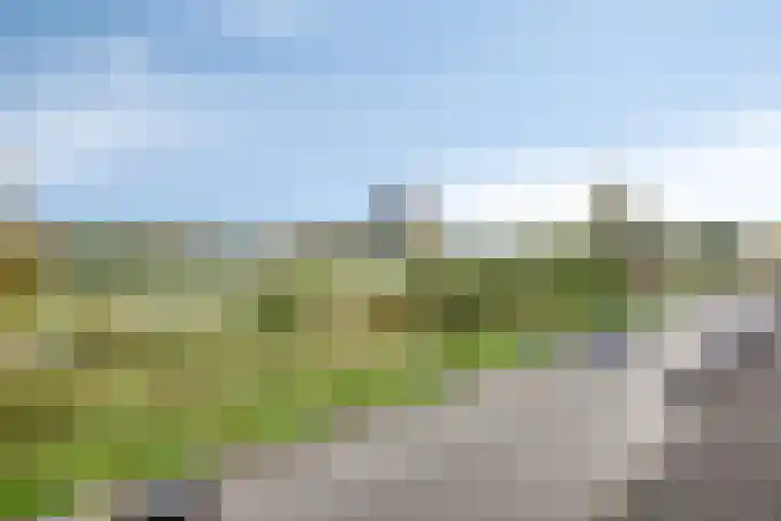 Florakade 208 Groningen thumbnail 32