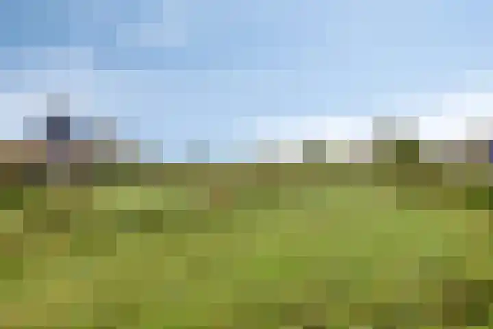 Florakade 208 Groningen thumbnail 38