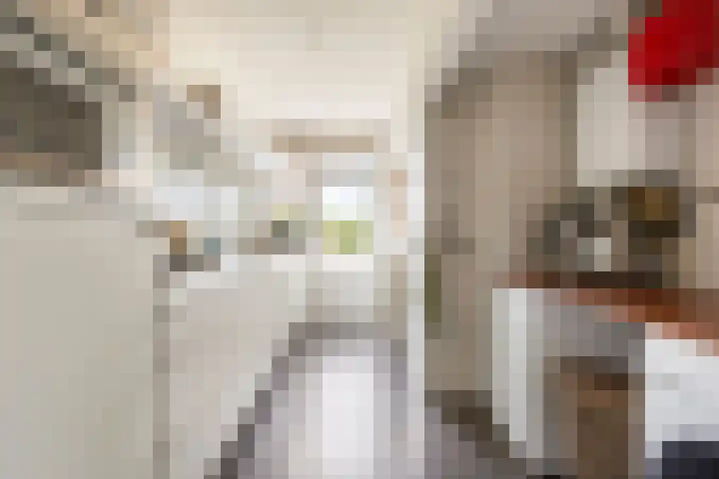 Florakade 230 Groningen thumbnail 17