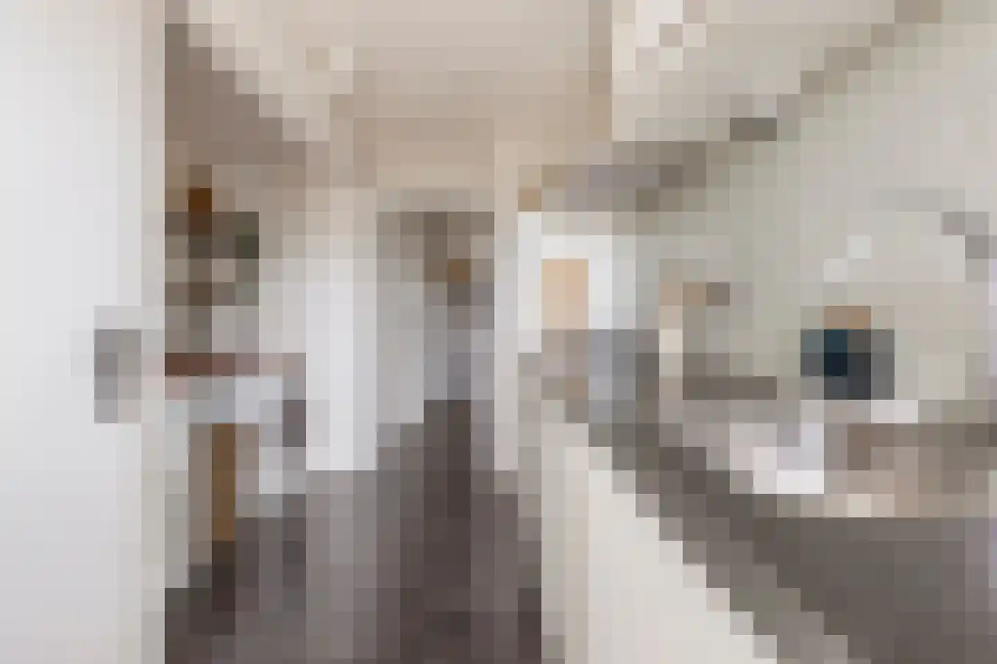 Florakade 230 Groningen thumbnail 20
