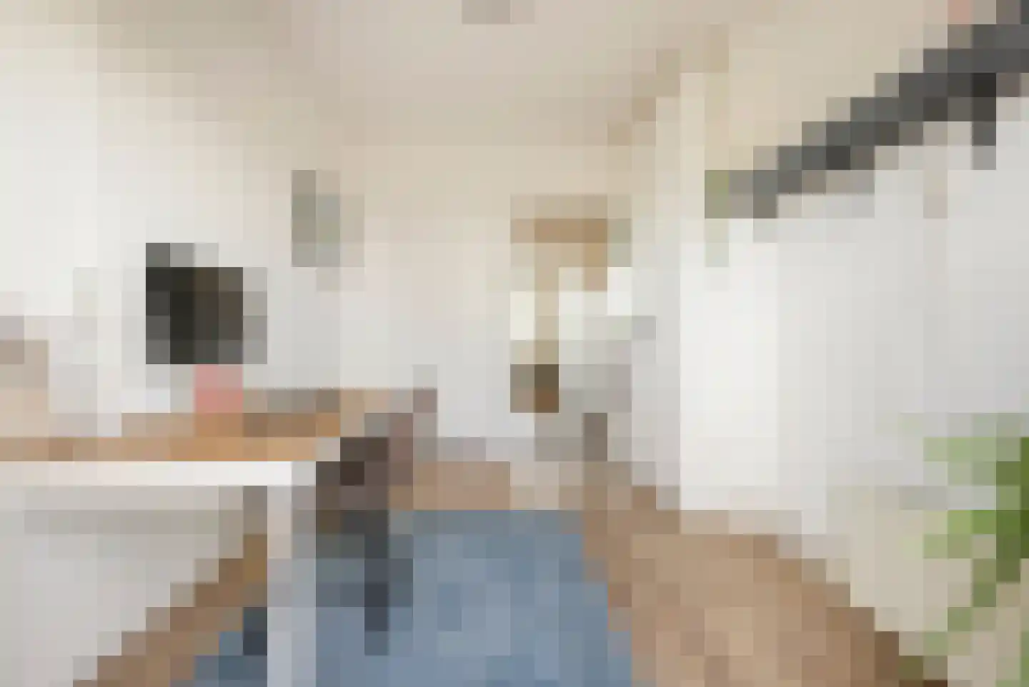 Florakade 230 Groningen thumbnail 24