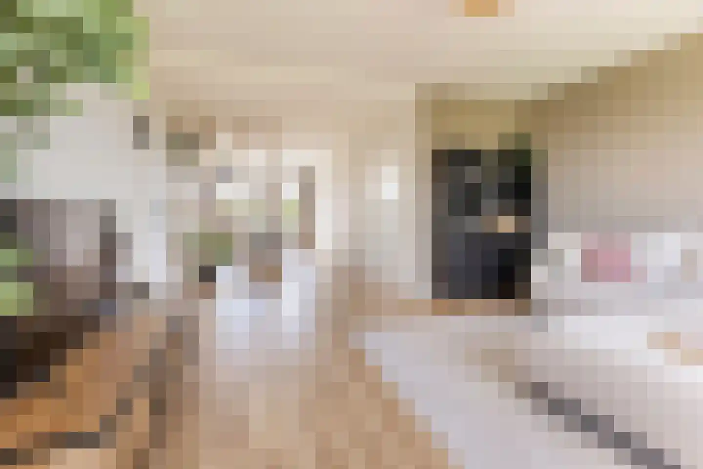 Florakade 230 Groningen thumbnail 9