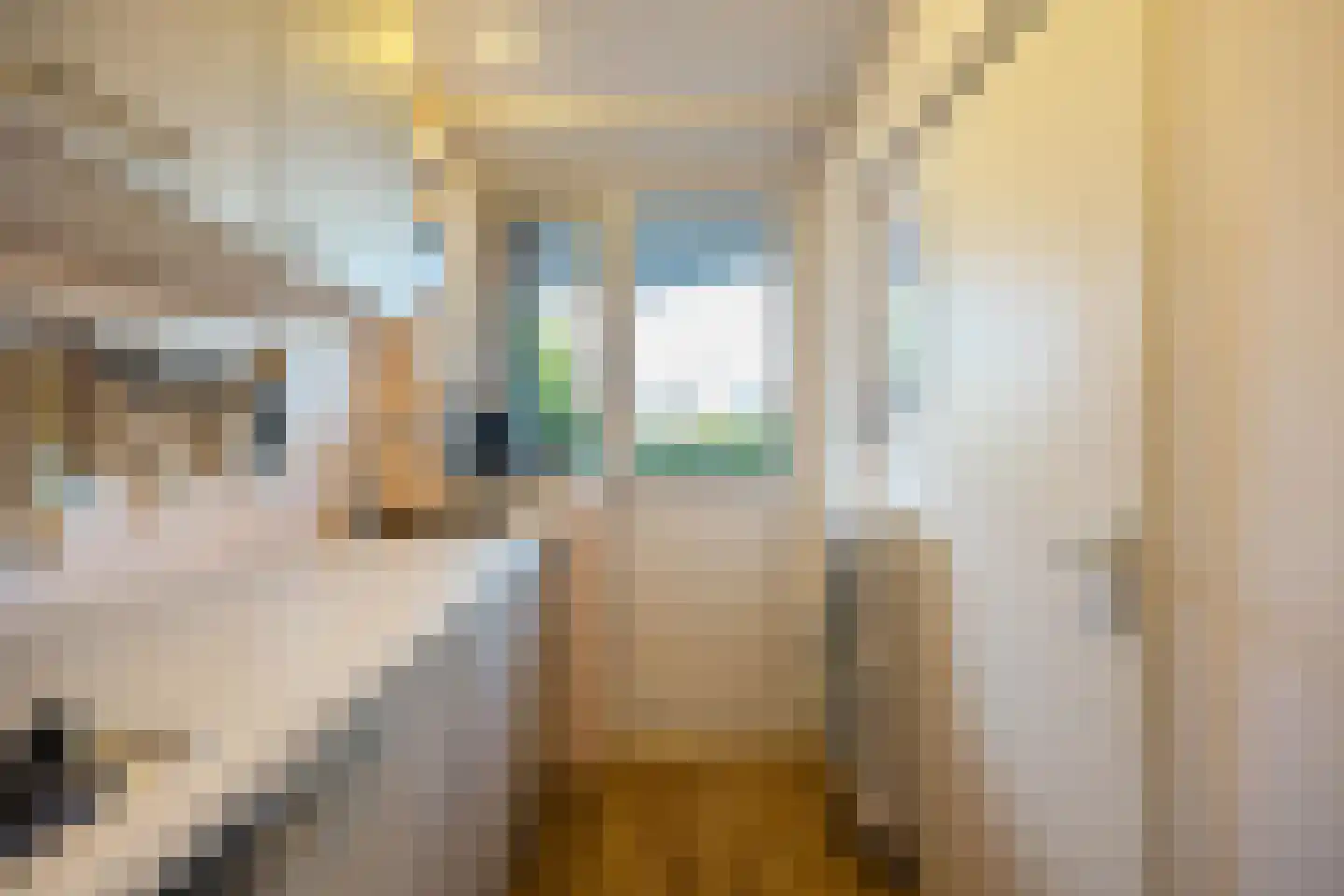 Florakade 250 Groningen thumbnail 20