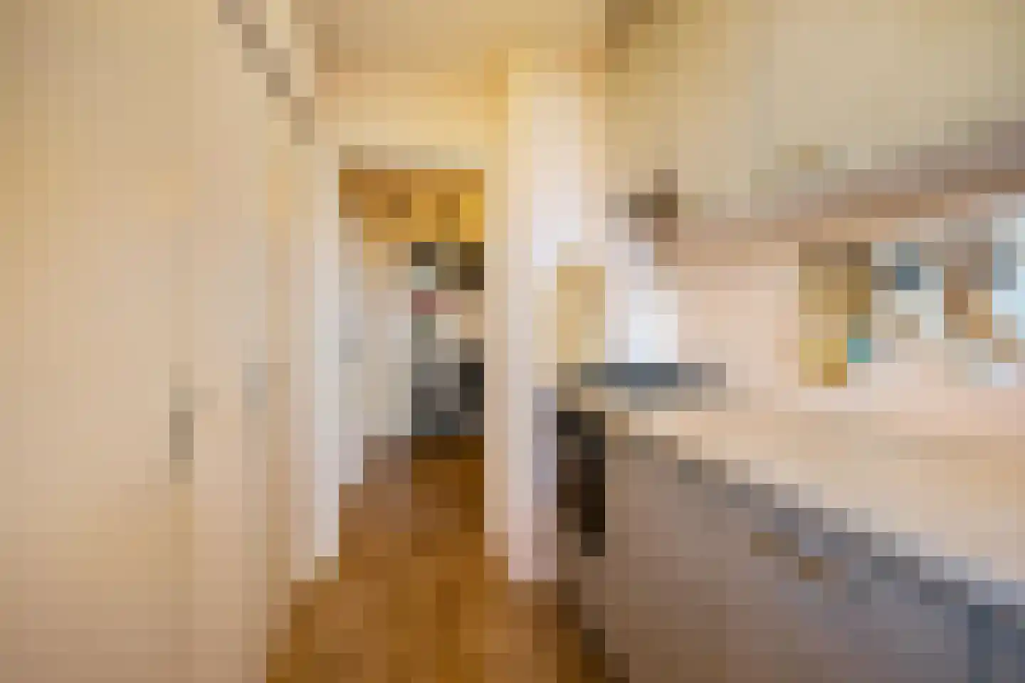 Florakade 250 Groningen thumbnail 21