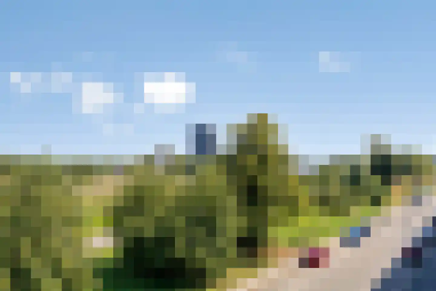 Florakade 262 Groningen thumbnail 13
