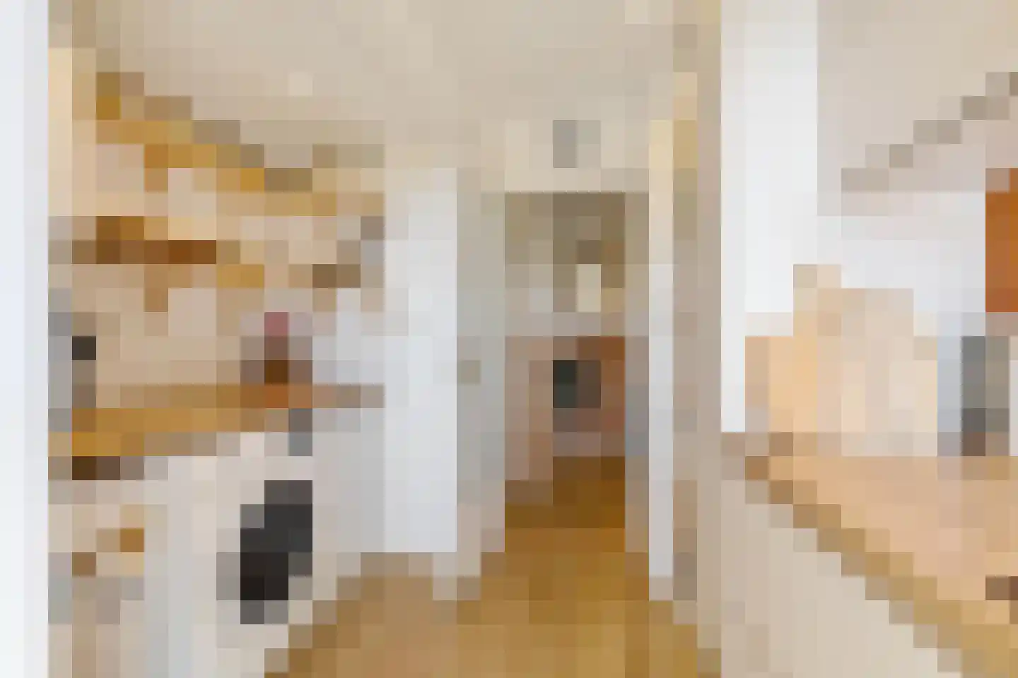 Florakade 270 Groningen thumbnail 27