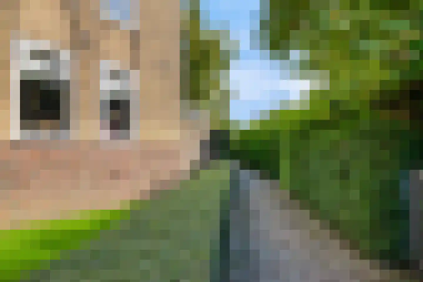 Florakade 270 Groningen thumbnail 45