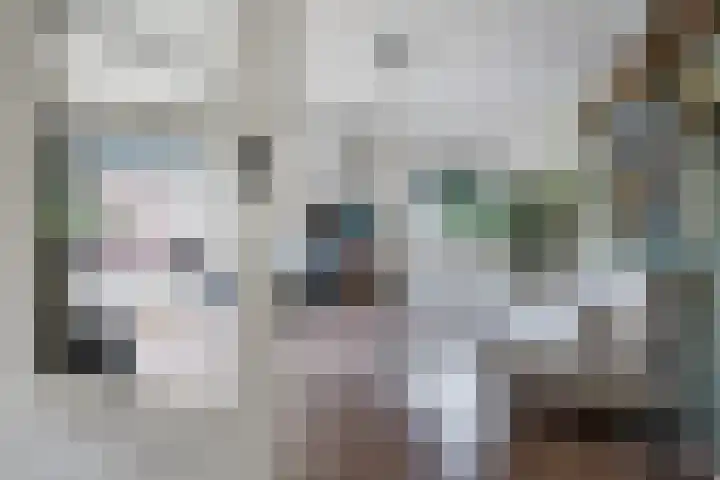 Florakade 280 Groningen thumbnail 14