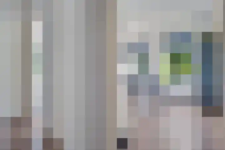 Florakade 280 Groningen thumbnail 26
