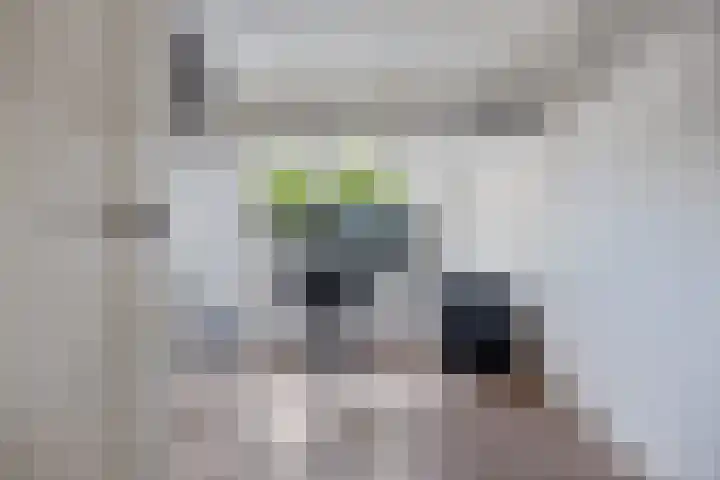 Florakade 280 Groningen thumbnail 34