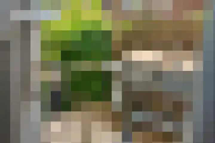 Florakade 280 Groningen thumbnail 36