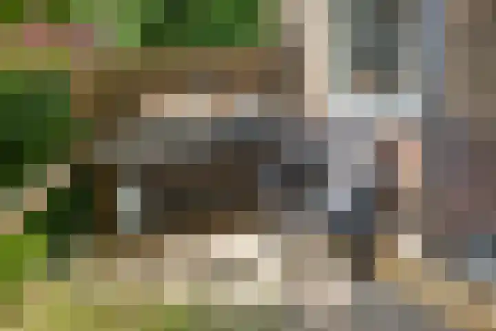 Florakade 280 Groningen thumbnail 38