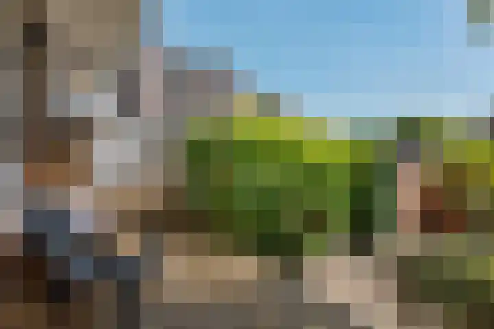 Florakade 280 Groningen thumbnail 39
