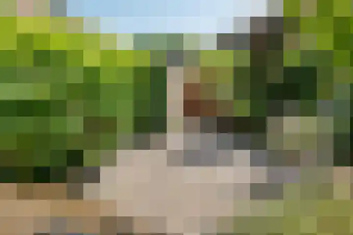 Florakade 280 Groningen thumbnail 40