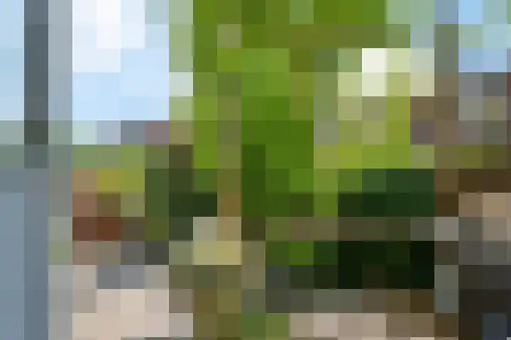 Florakade 280 Groningen thumbnail 41