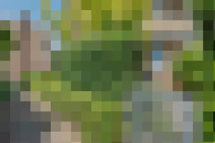 Florakade 280 Groningen thumbnail 43