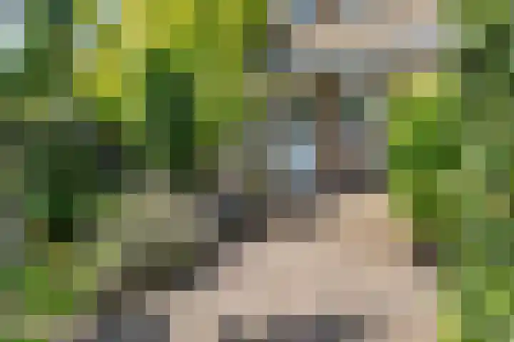 Florakade 280 Groningen thumbnail 44