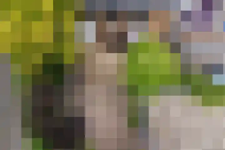 Florakade 280 Groningen thumbnail 45