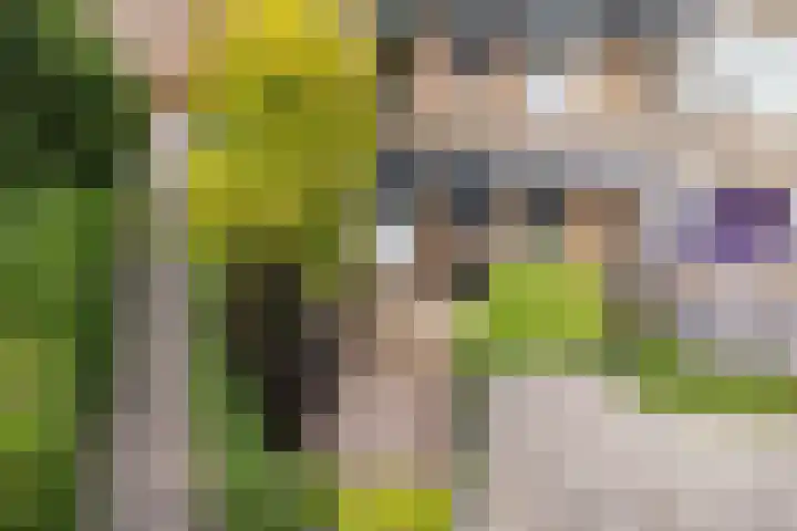 Florakade 280 Groningen thumbnail 46