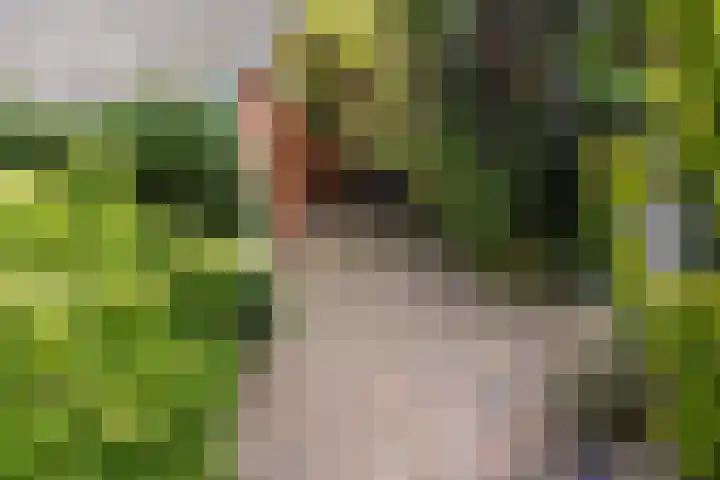 Florakade 280 Groningen thumbnail 47