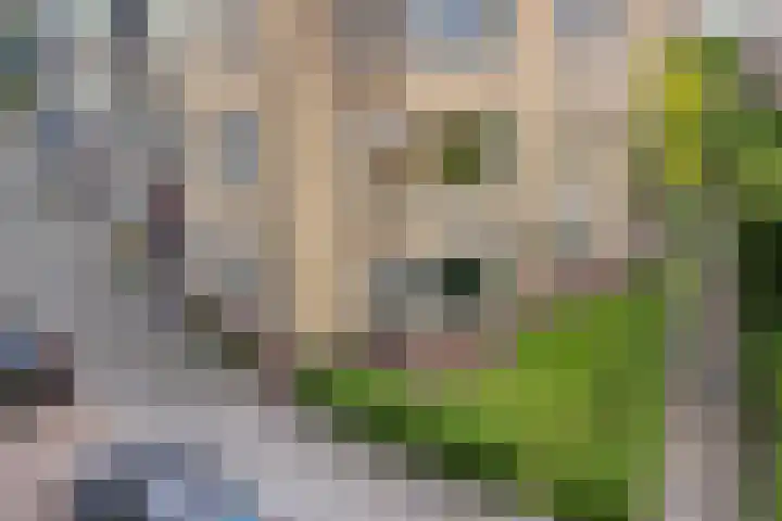 Florakade 280 Groningen thumbnail 48