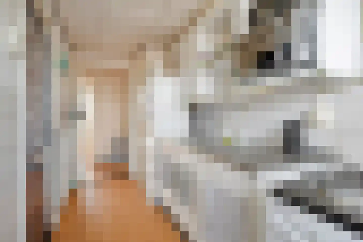 Florakade 308 Groningen thumbnail 16