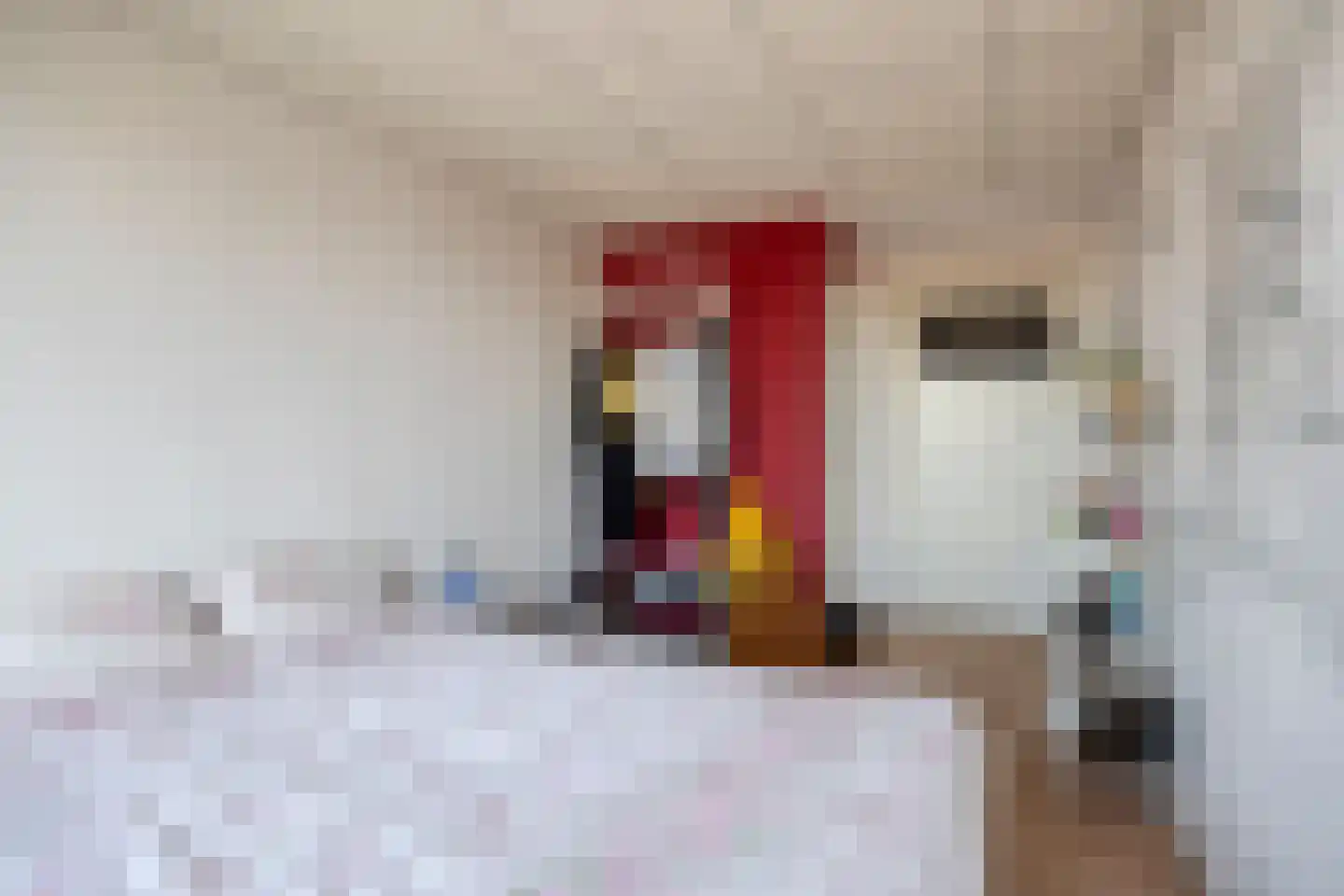 Florakade 308 Groningen thumbnail 24