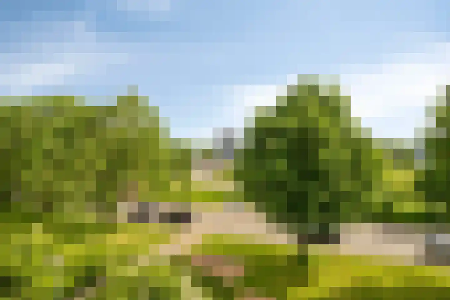Florakade 308 Groningen thumbnail 4