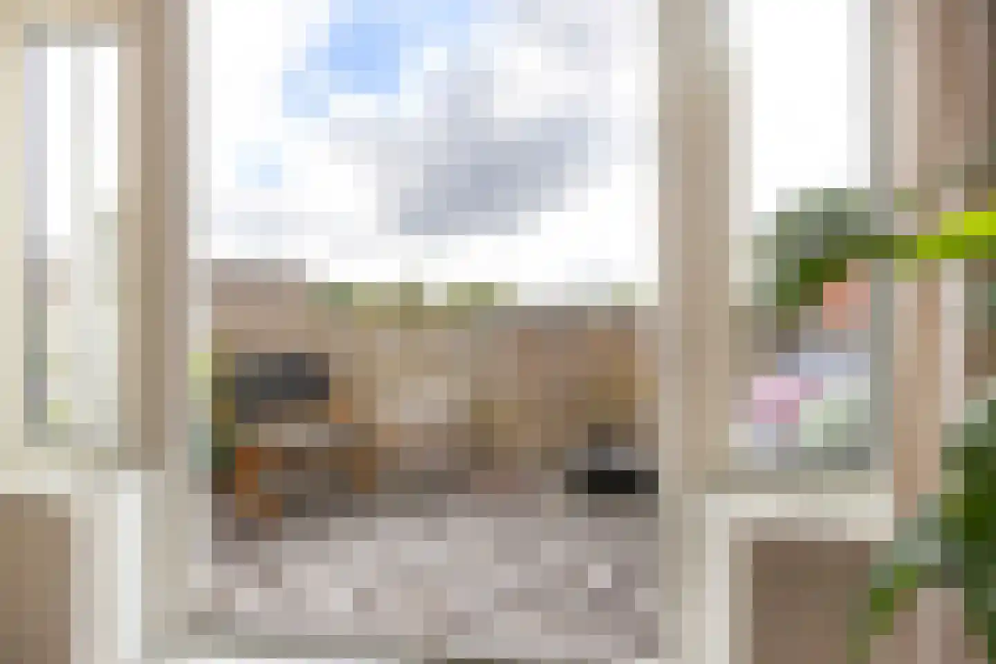 Florakade 350 Groningen thumbnail 12