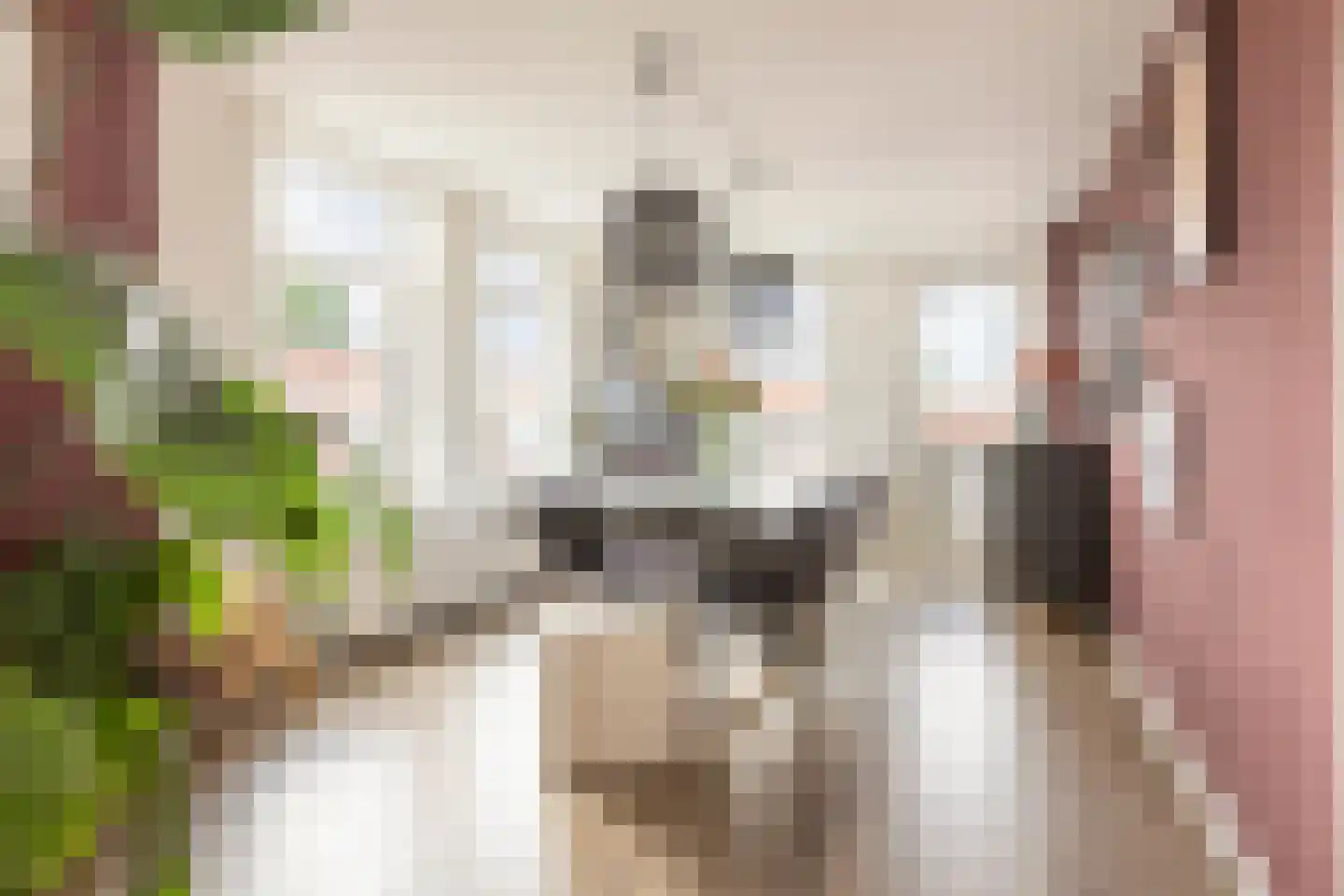 Florakade 350 Groningen thumbnail 17