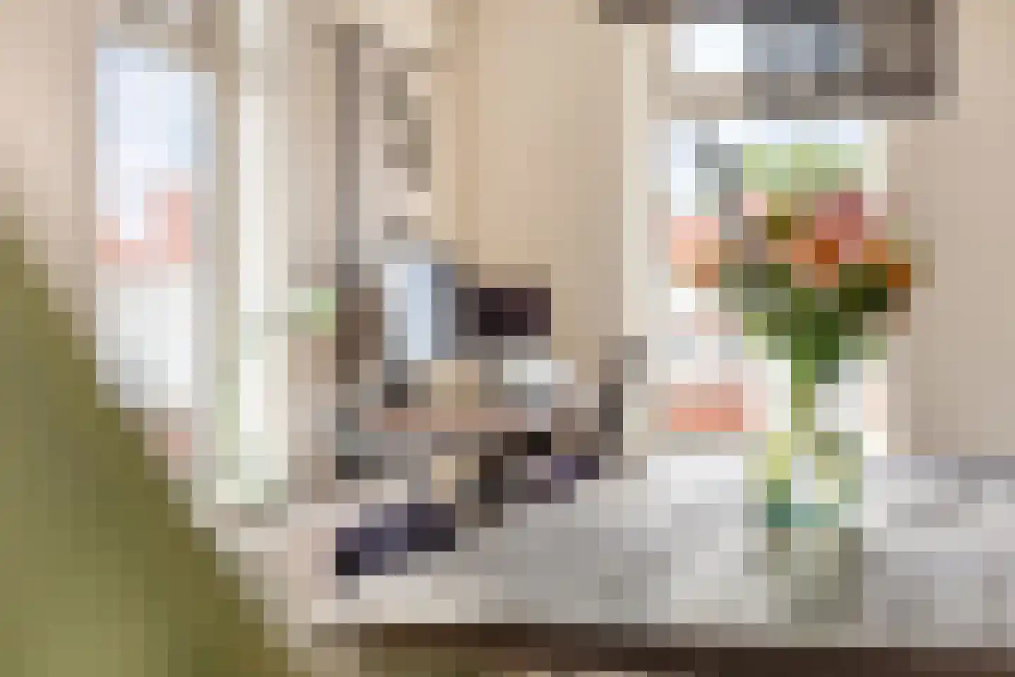 Florakade 350 Groningen thumbnail 18