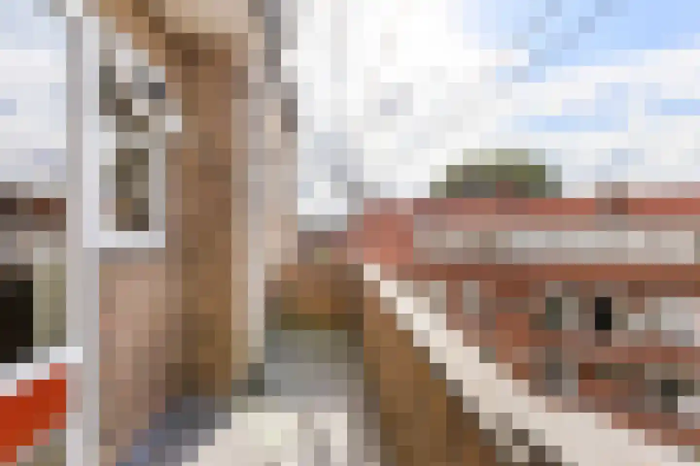 Florakade 350 Groningen thumbnail 28
