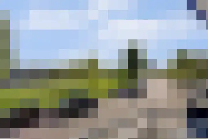Florakade 390 Groningen thumbnail 22