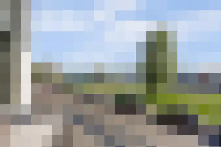 Florakade 390 Groningen thumbnail 23
