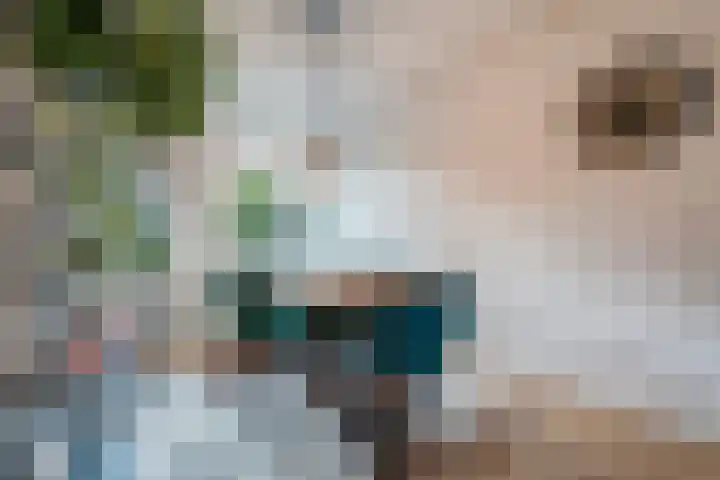 Florakade 400 Groningen thumbnail 13