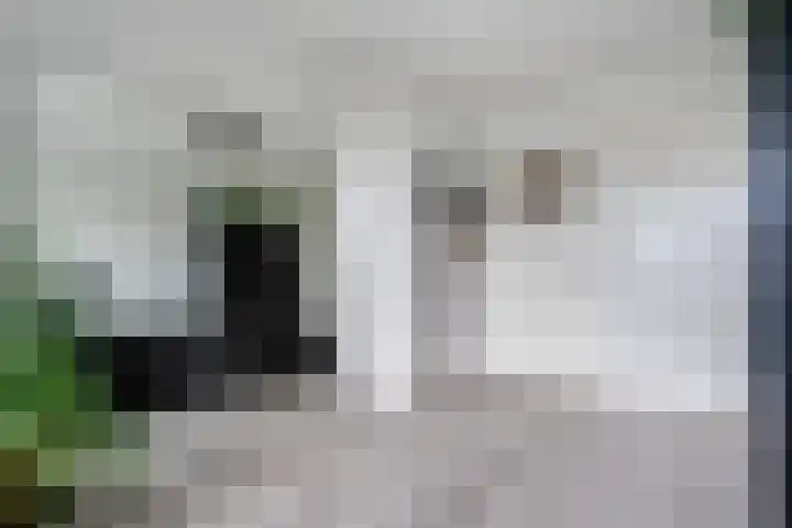 Florakade 400 Groningen thumbnail 20