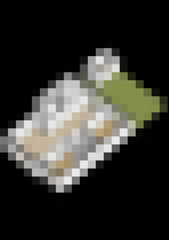 Florakade 400 Groningen thumbnail 30