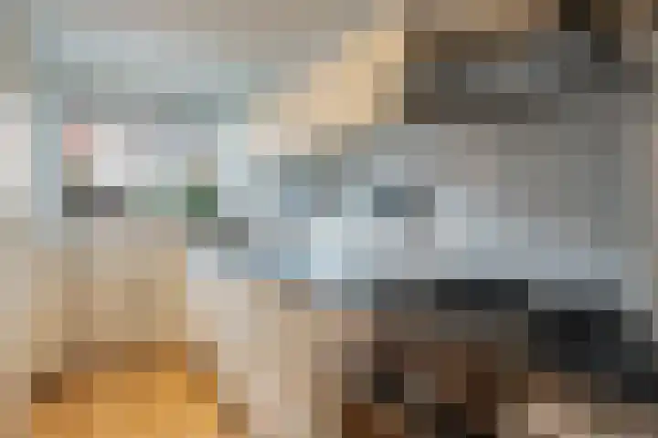 Florakade 400 Groningen thumbnail 7