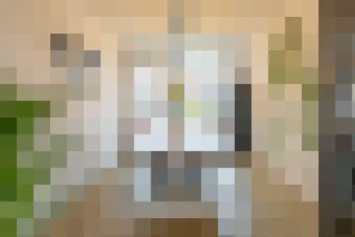 Florakade 408 Groningen thumbnail 16
