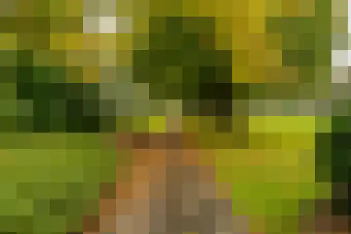 Florakade 408 Groningen thumbnail 23