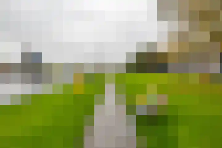 Florakade 408 Groningen thumbnail 24